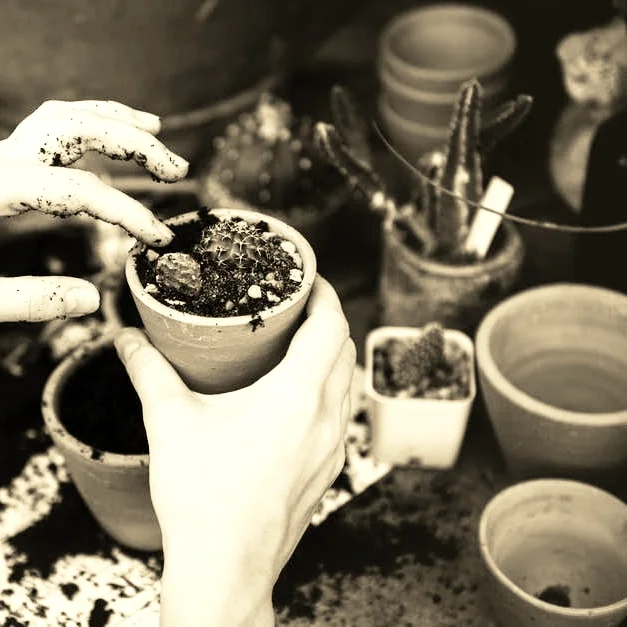 WE COME TO FEED, NOT TO BE FED. We ask the question, "How can I serve?", not "What can I receive?"