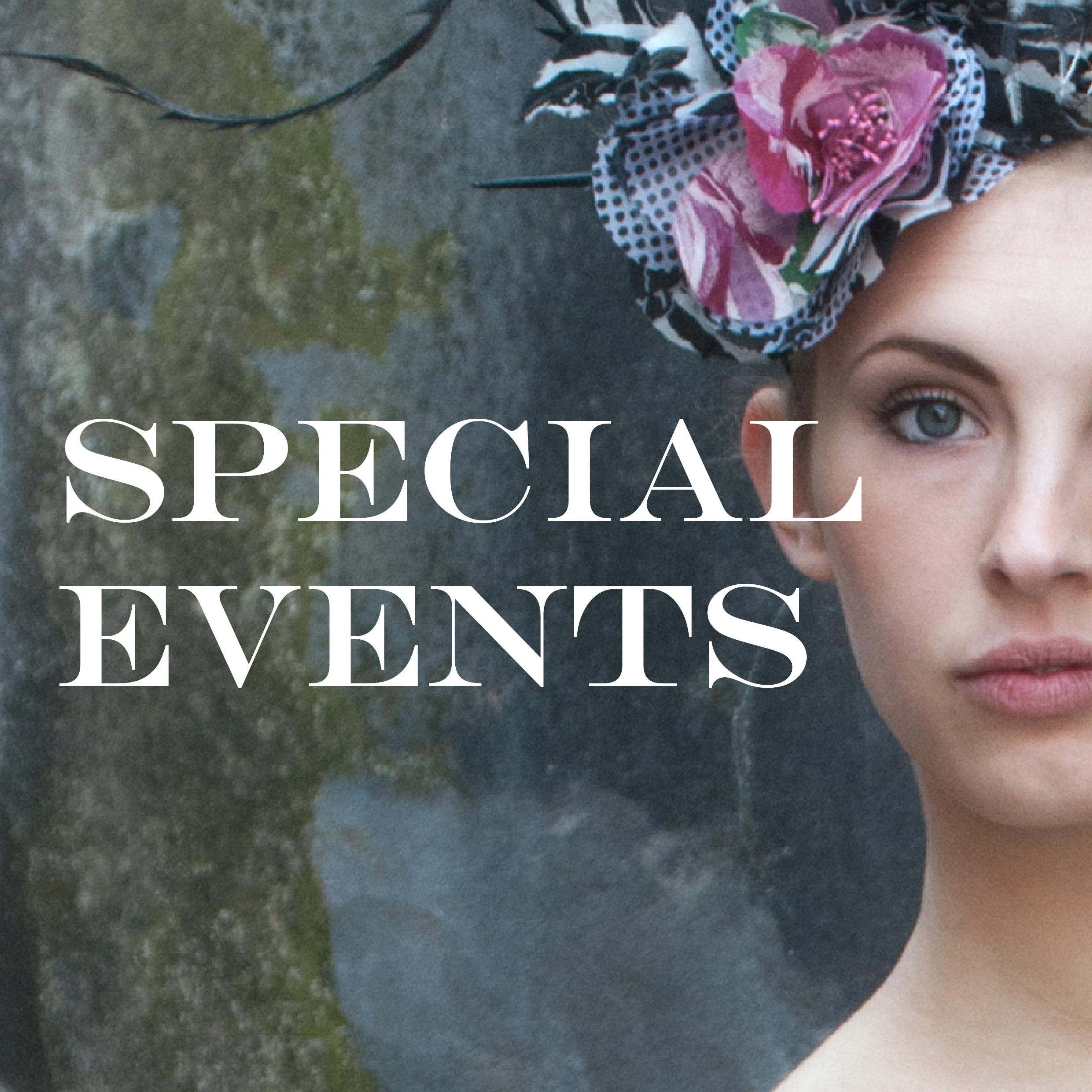 Image gateway to the Special Events page on Lewes Women in Business website