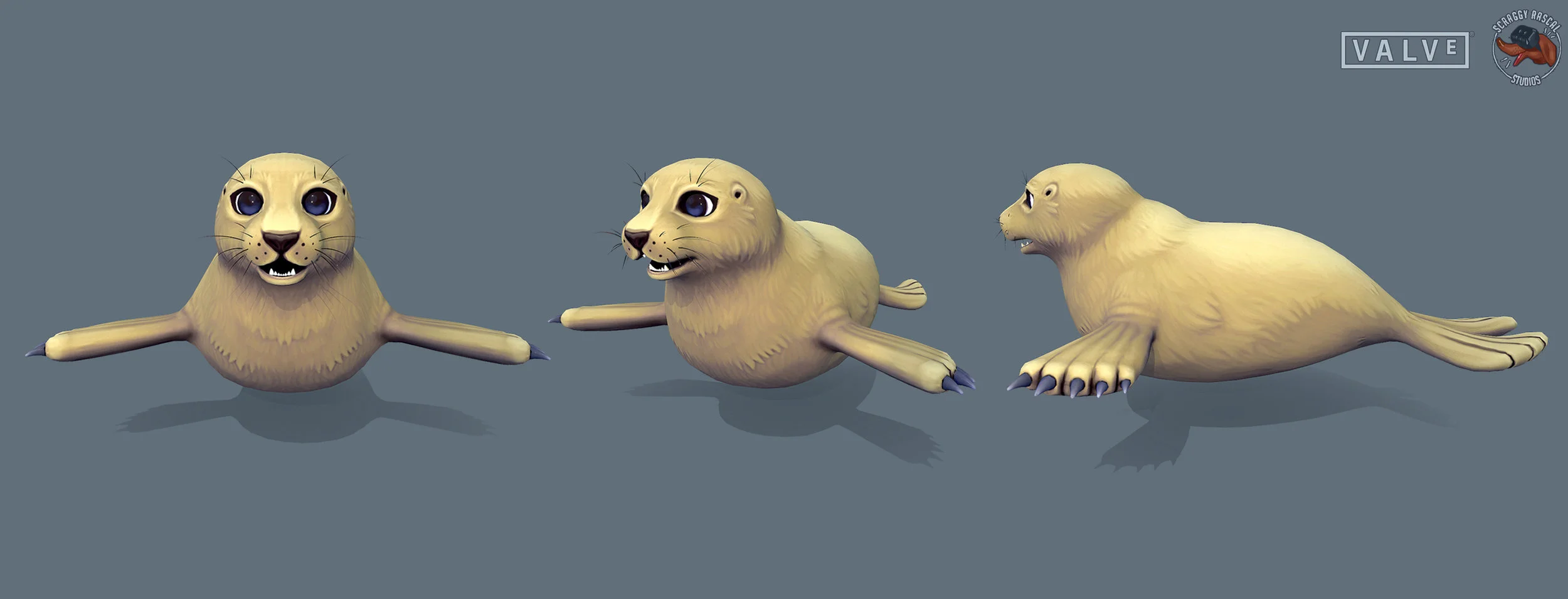 seal_turnaround.jpg
