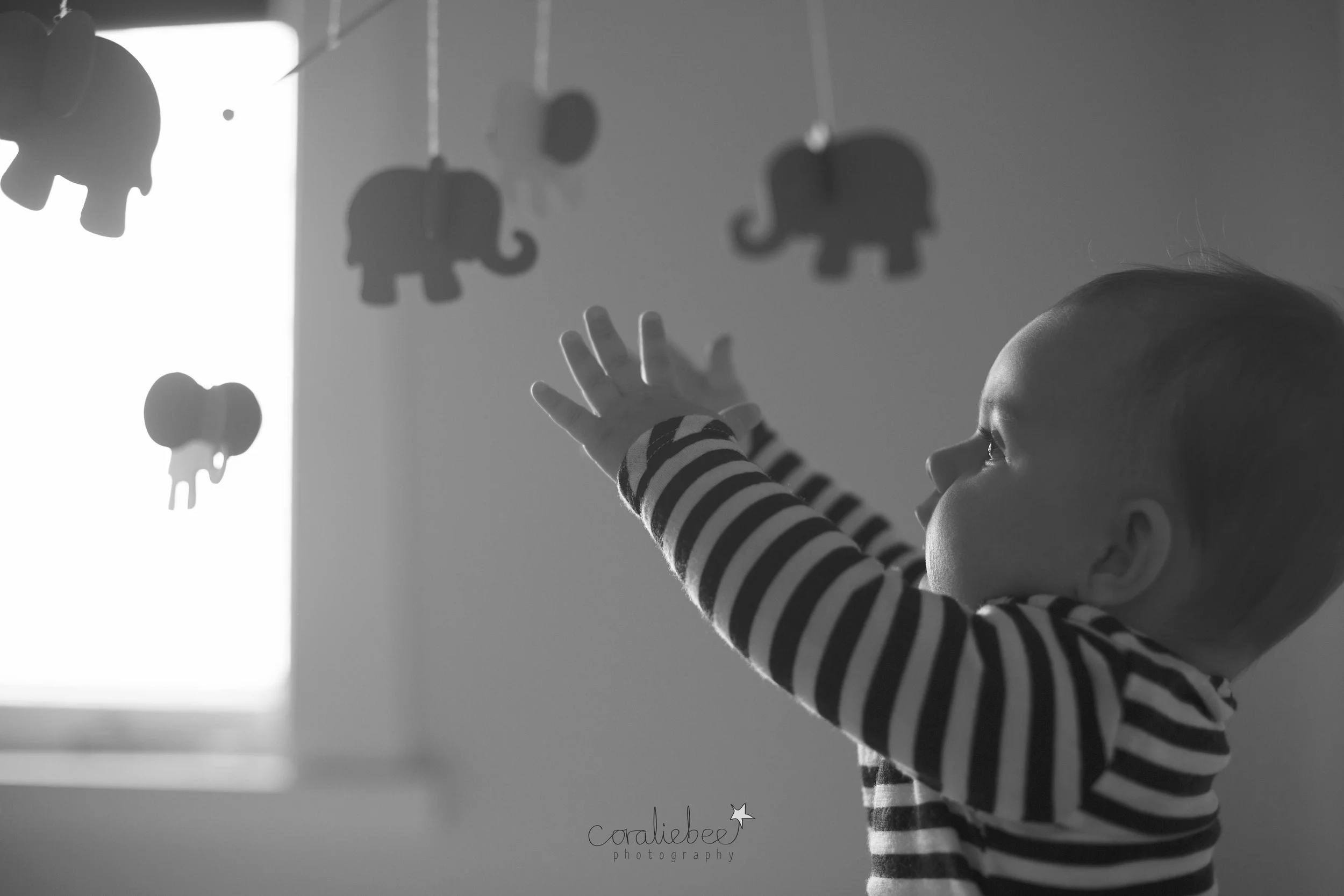 Coen_bw00015.jpg