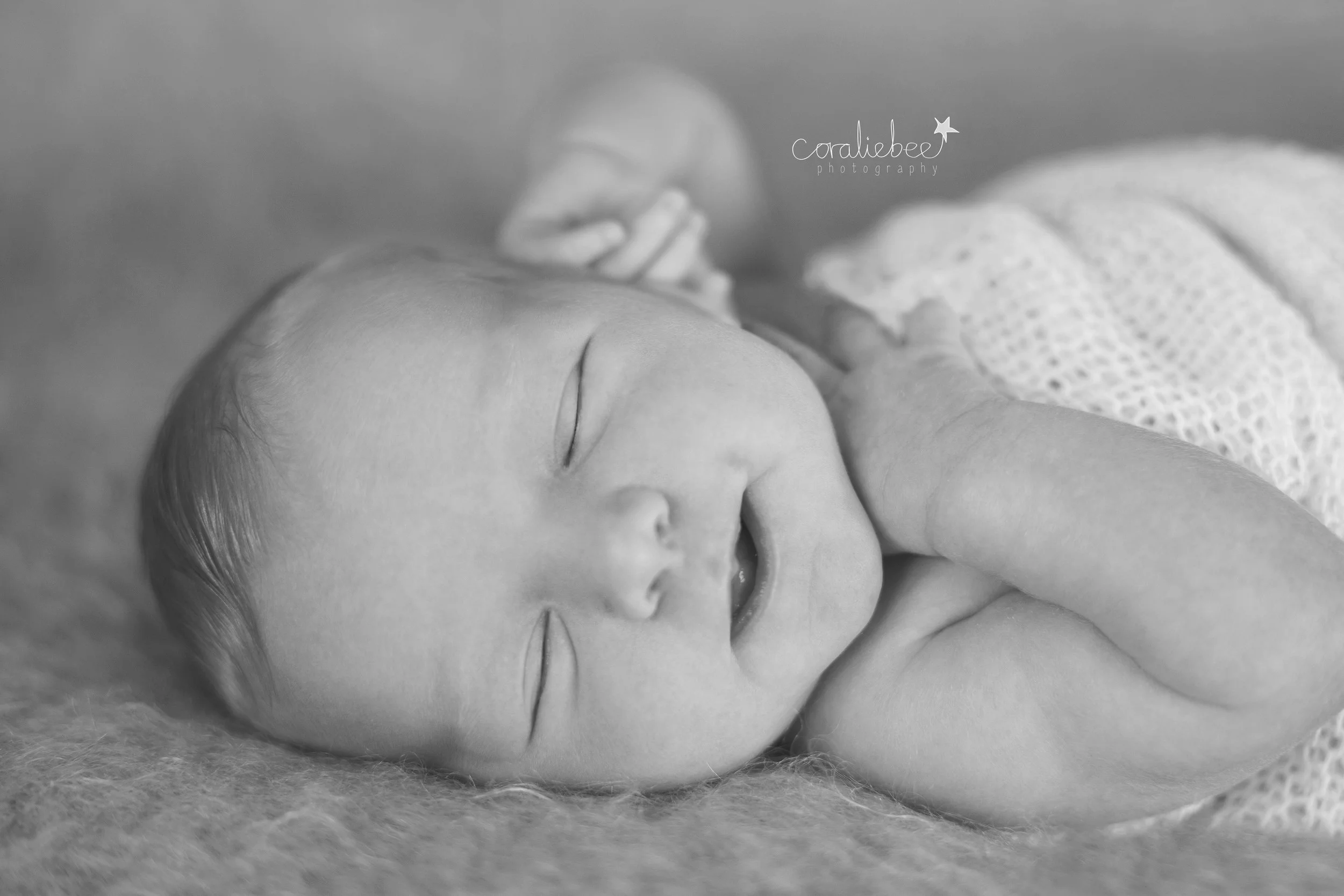 Alice_bw00010.jpg