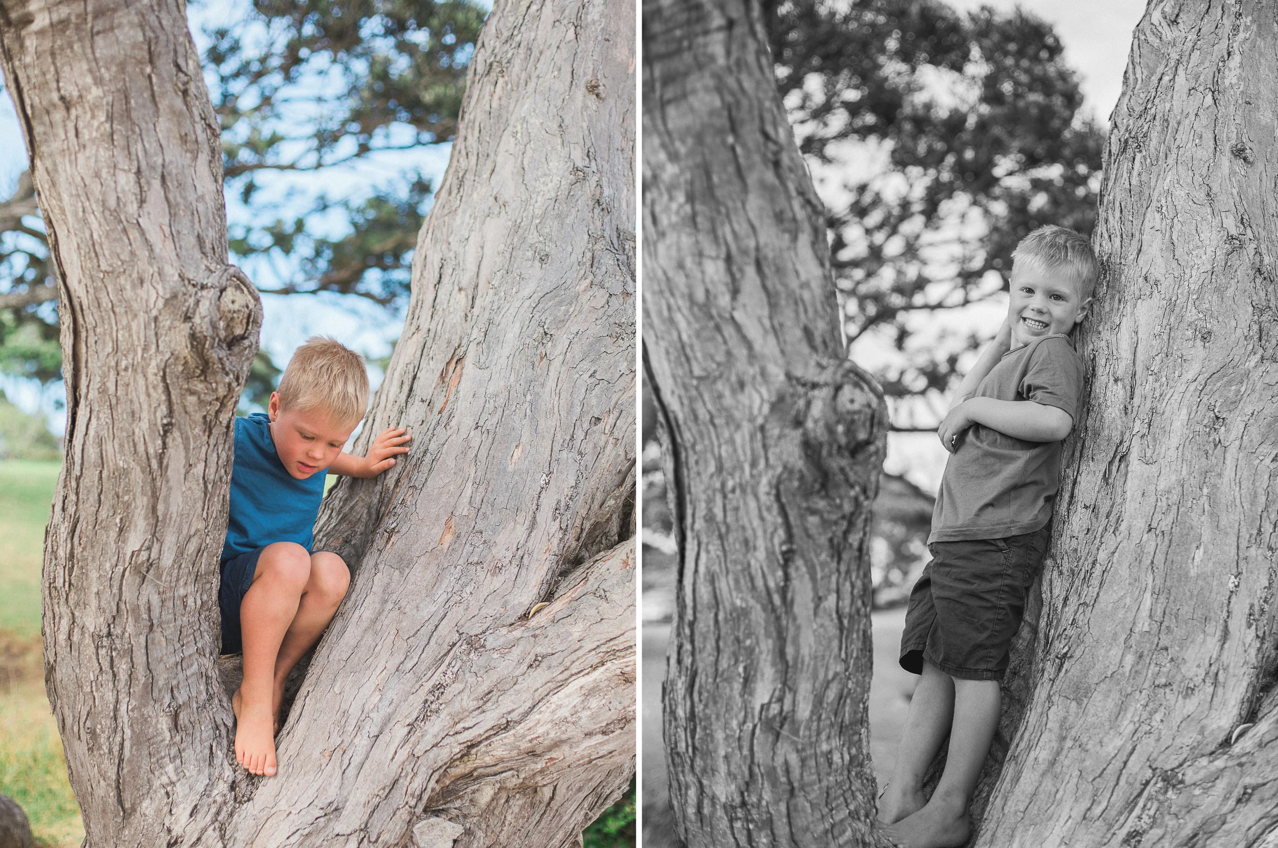 diptych16.jpg