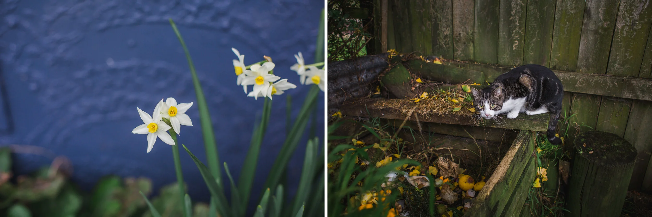 Auckland lifestyle photographer _07.jpg