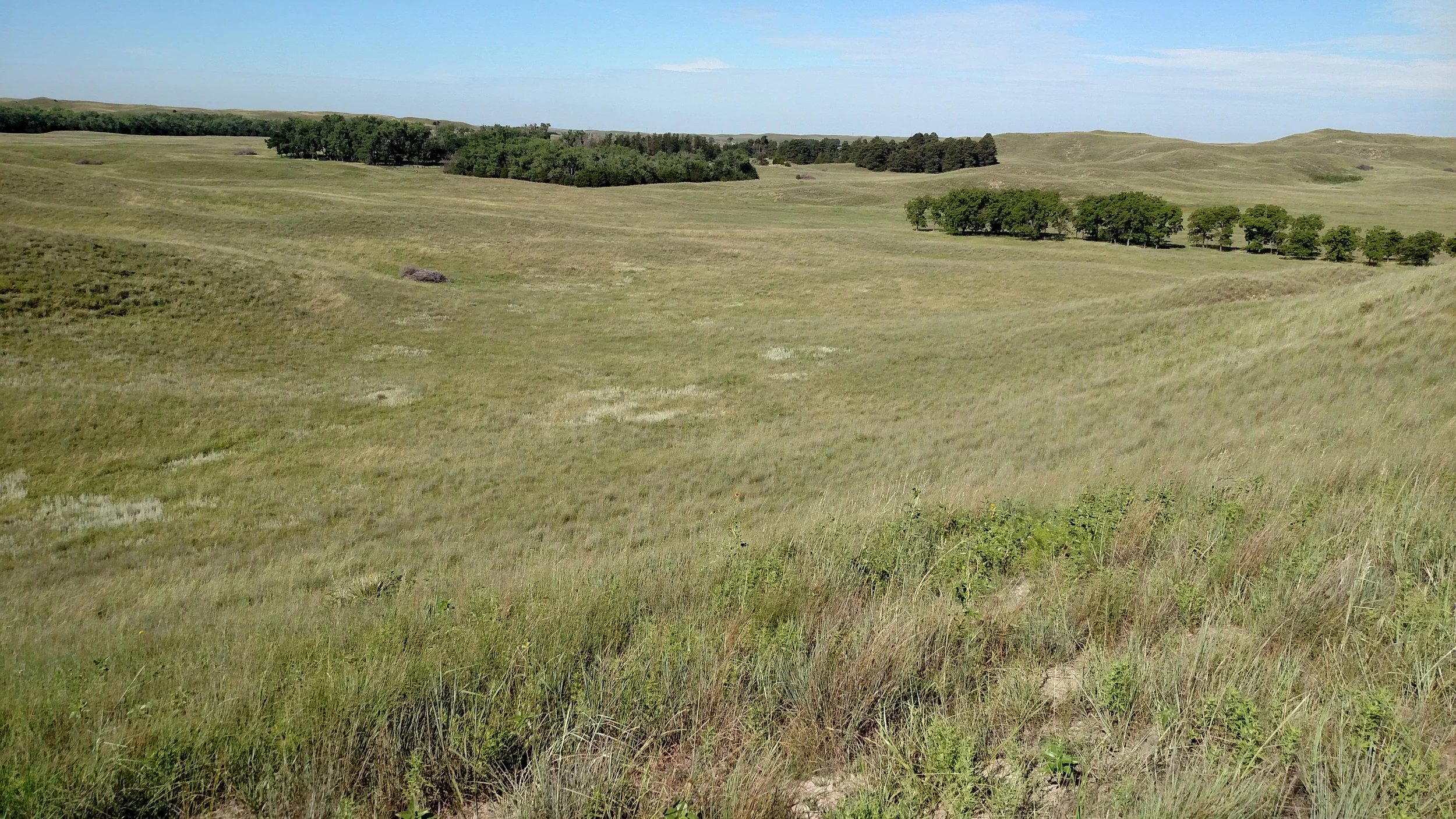 Logan County Rangeland SOLD &amp; CLOSED 1.4.17