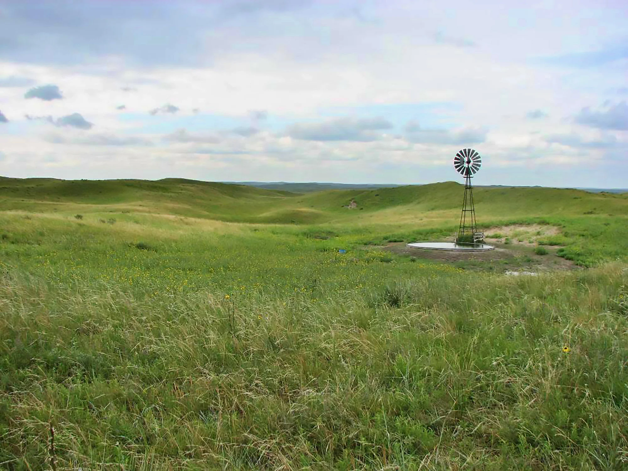 Sandhill Picture.jpg