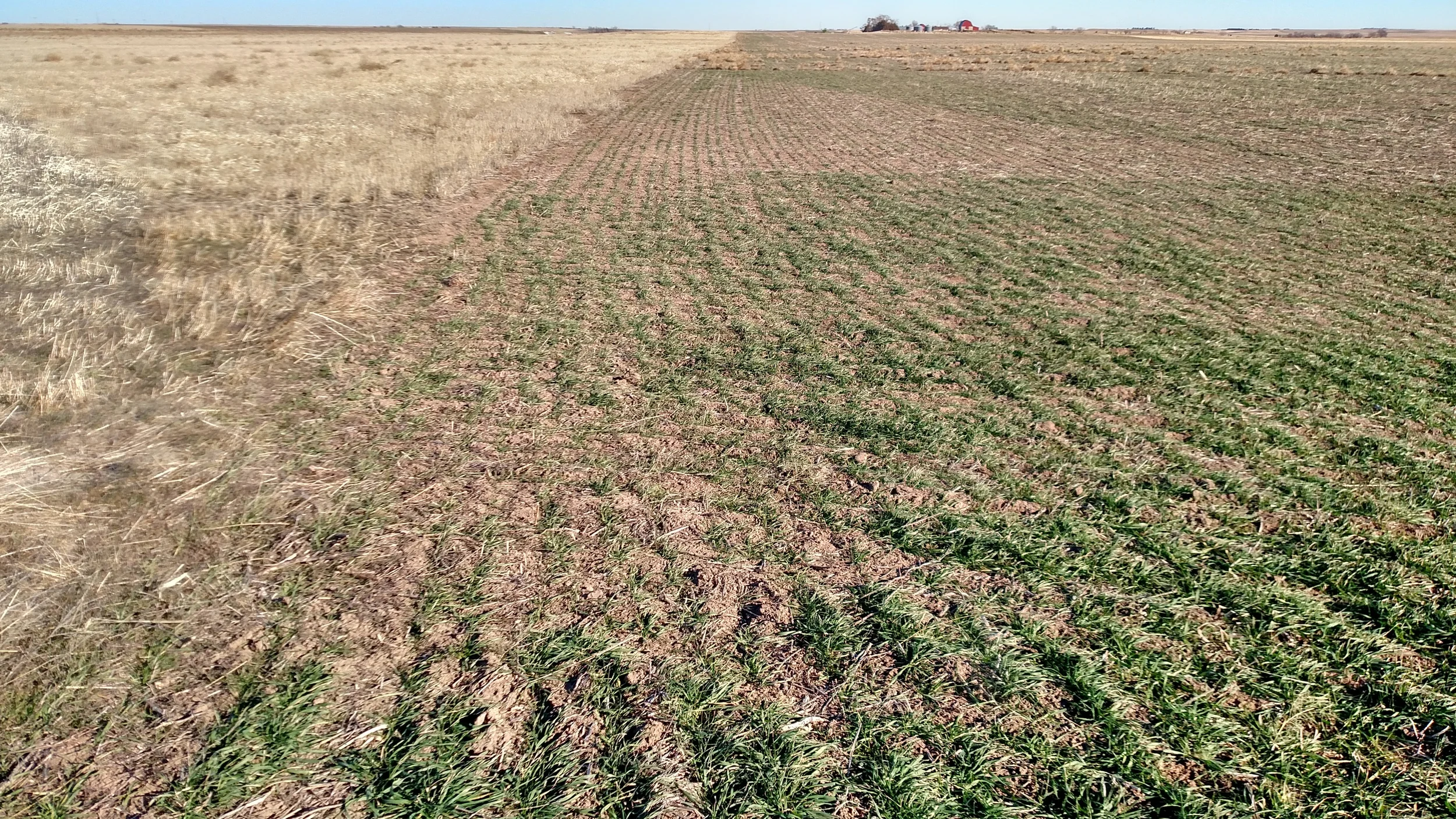 Sunol Wheat Farm SOLD &amp; CLOSED 2.25.16