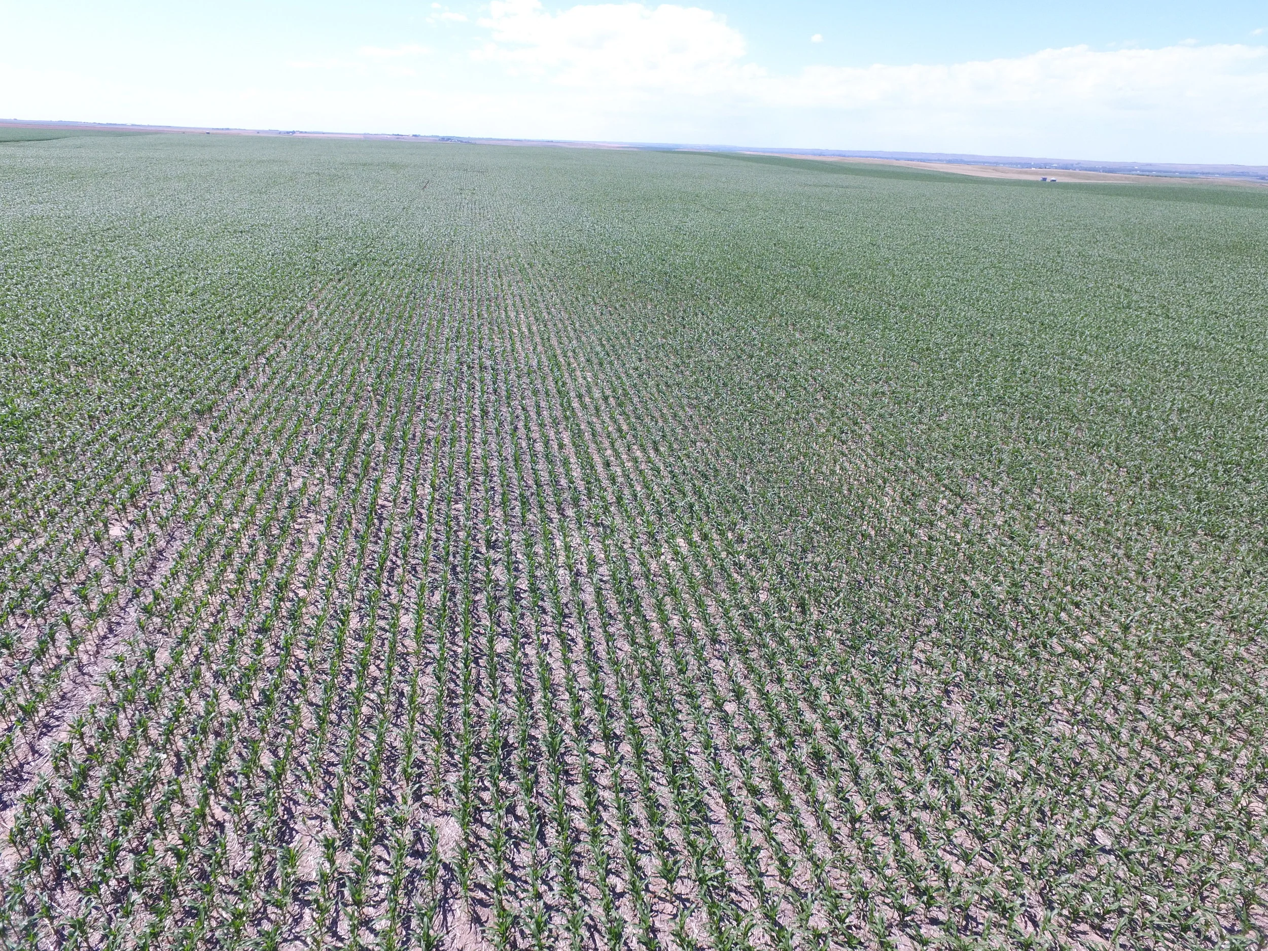 Paxton Non-Irrigated Farm SOLD &amp; CLOSED 4.18.18