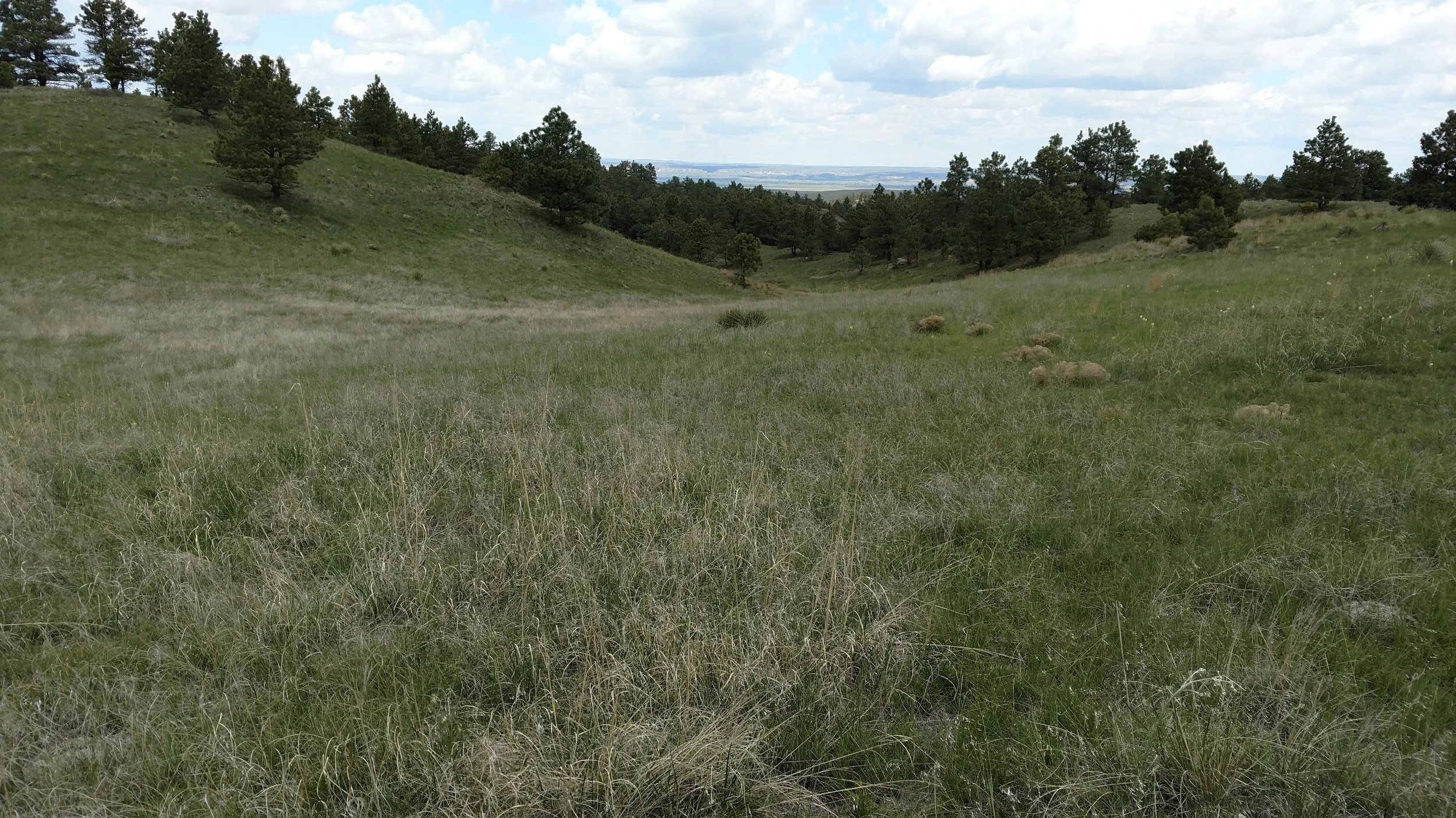 Dalton NE Wildlife Ranch - Morrill County SOLD & CLOSED 6.28.17