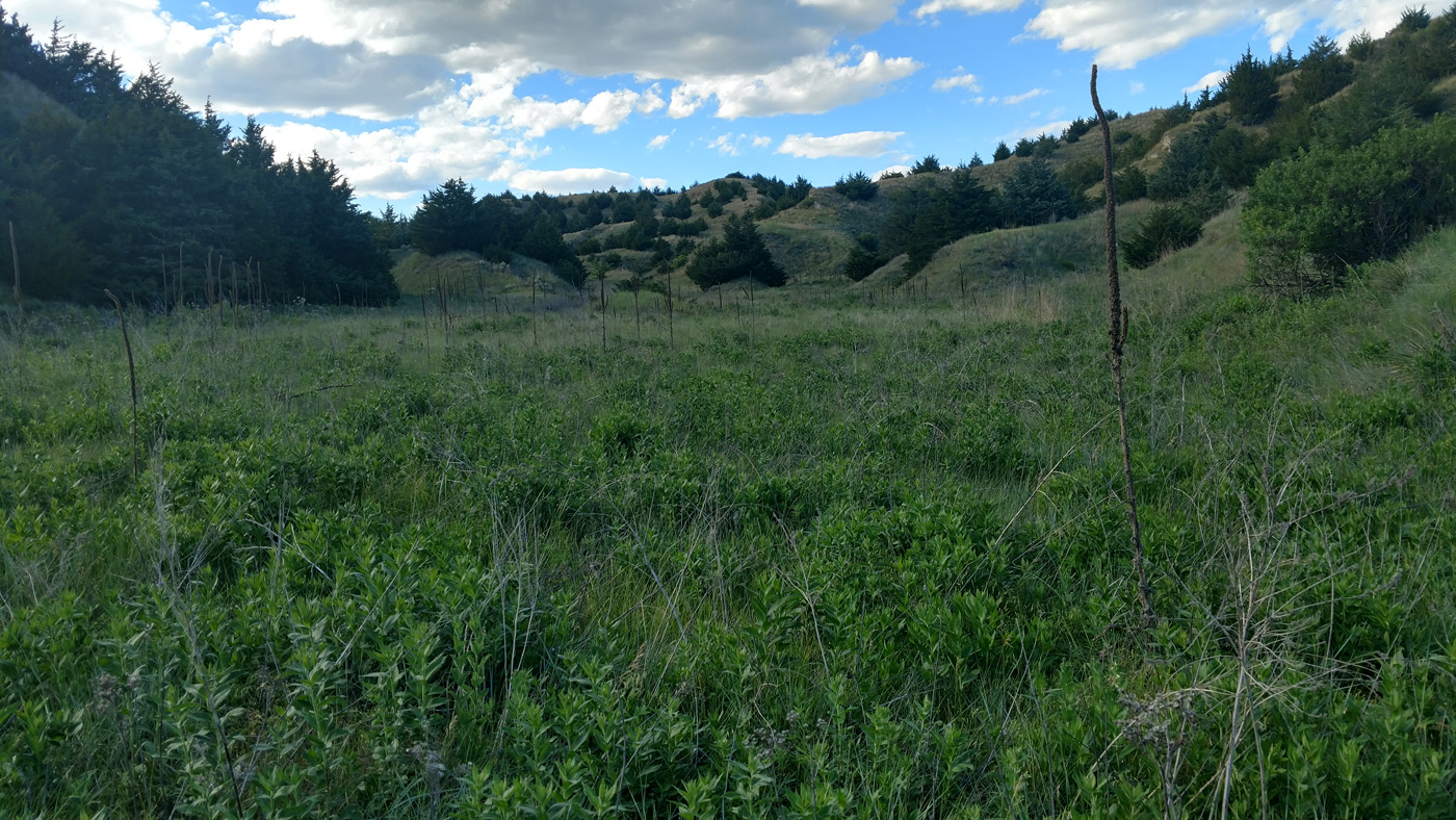 Jeffrey Lake Wildlife Resort NEW PRICE 700,000 — Nebraska Land Brokers