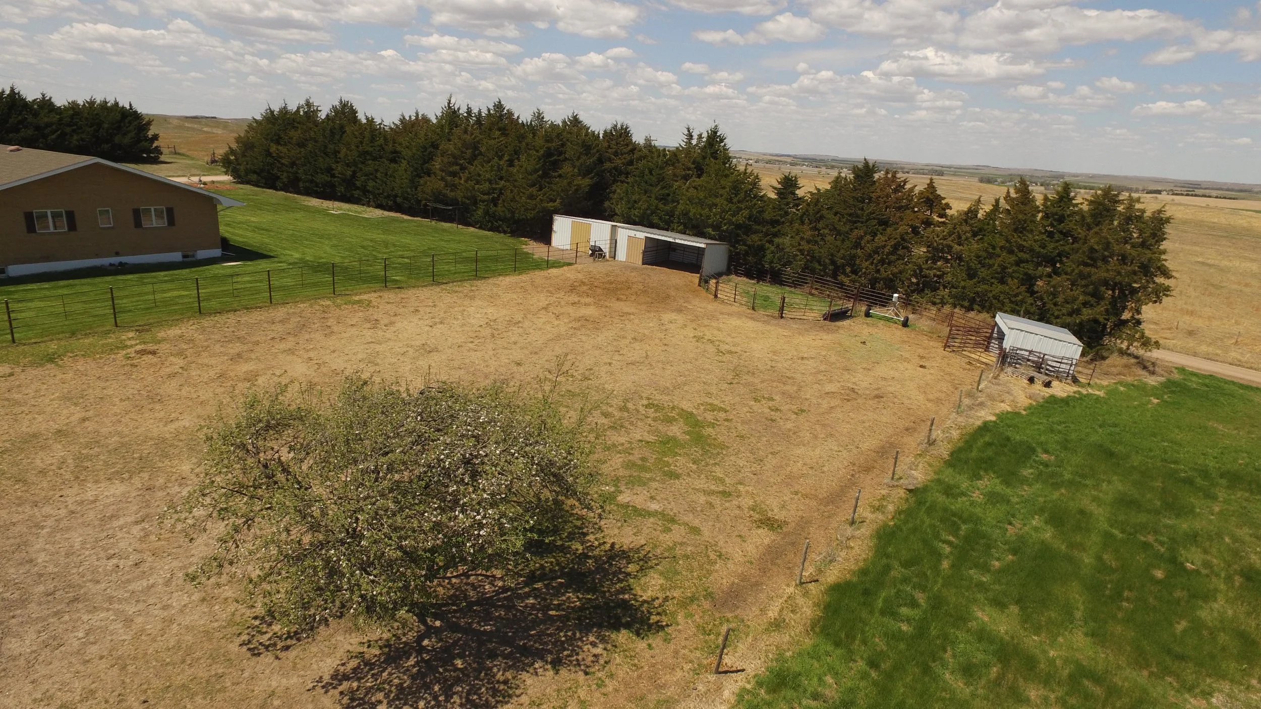 DJI_0050.jpg