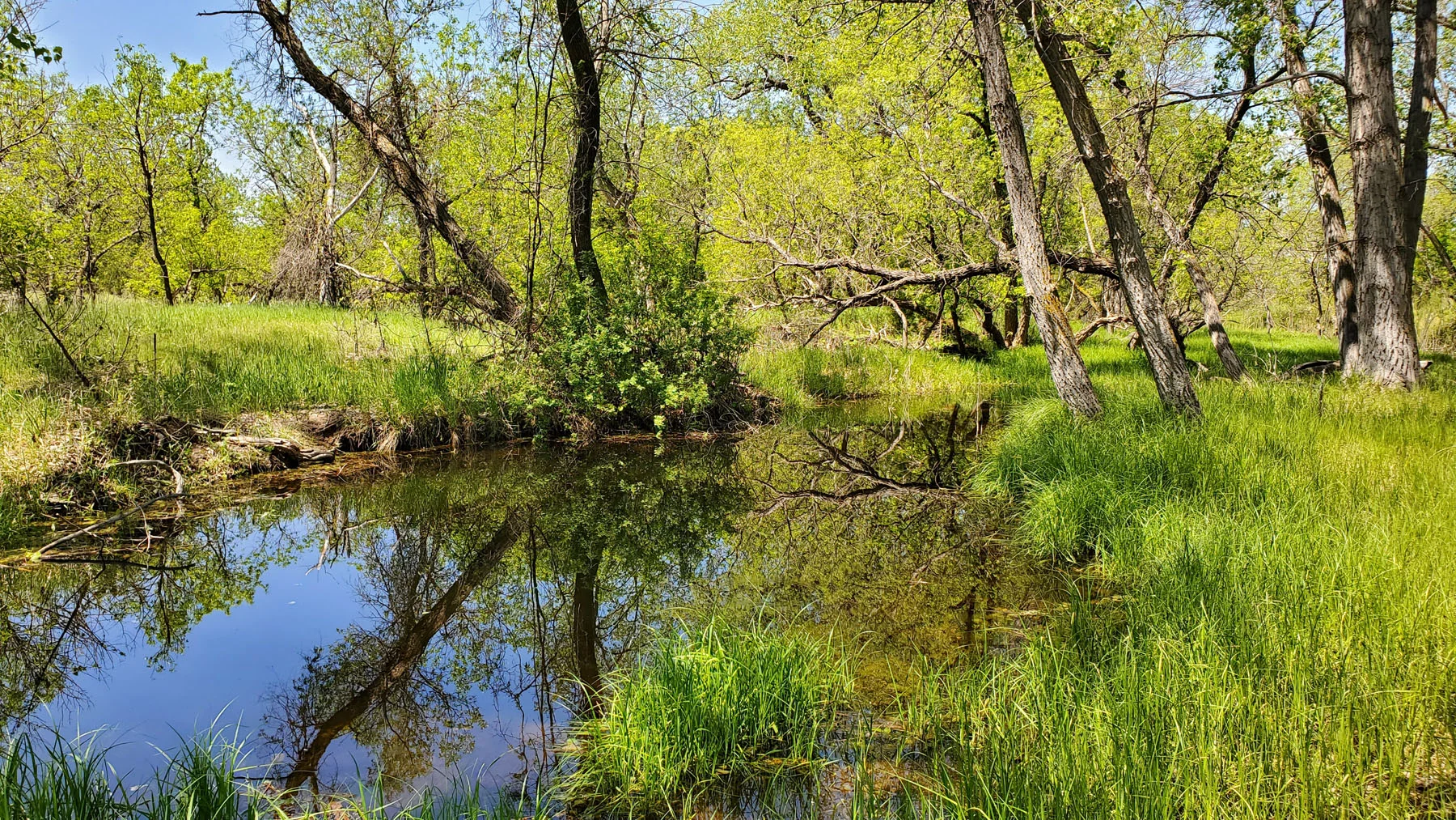 Roscoe's South Platte "EAST" - Keith County, NE   SOLD &amp; CLOSED 8.23.19