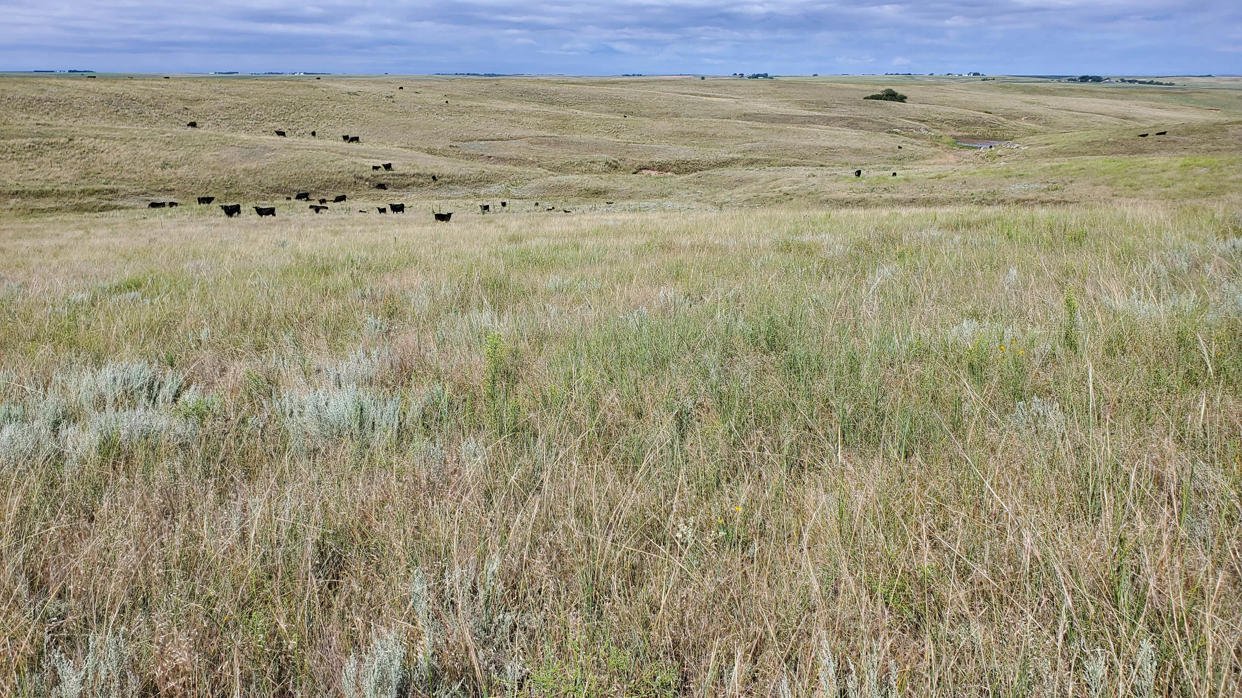 KEITH COUNTY RANCH AUCTION Parcel  3 