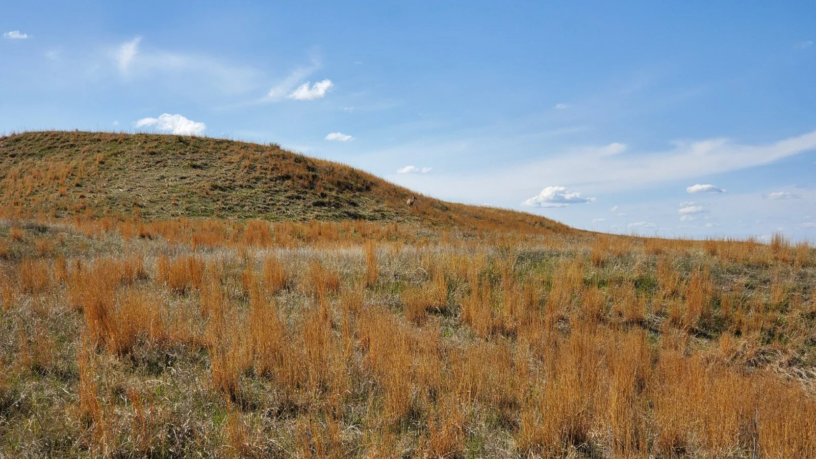 NORTH LOUP RIVER RANCH Blaine County, NE SOLD & CLOSED 6.12.20