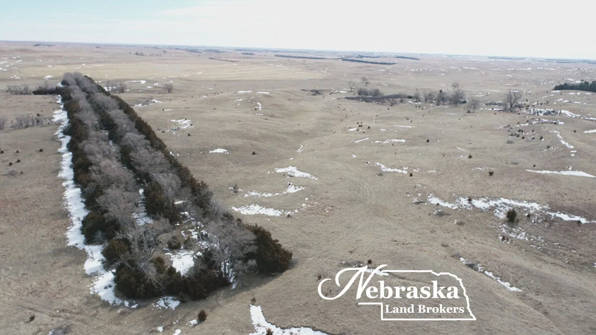 Ringgold Ranch - Dixon Unit, McPherson County, NE   SOLD &amp; CLOSED 6.18.21