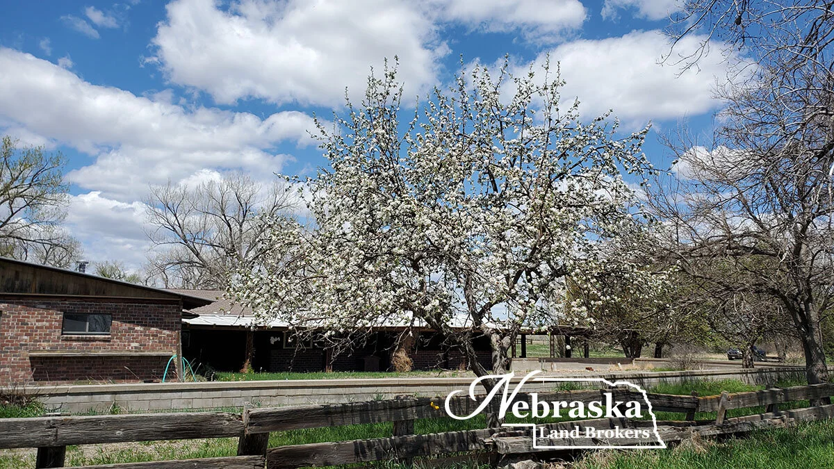 BIRDWOOD CREEK WILDLIFE ACREAGE Lincoln County SOLD & CLOSED 7.8.