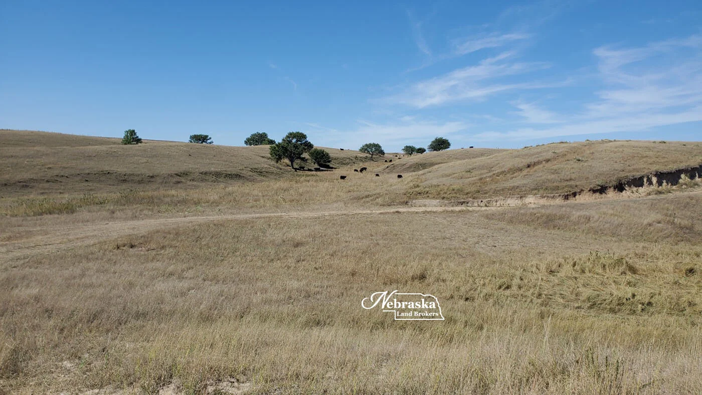 Frontier County Farms Auction PARCEL 3 SOLD & CLOSED 12.23.21