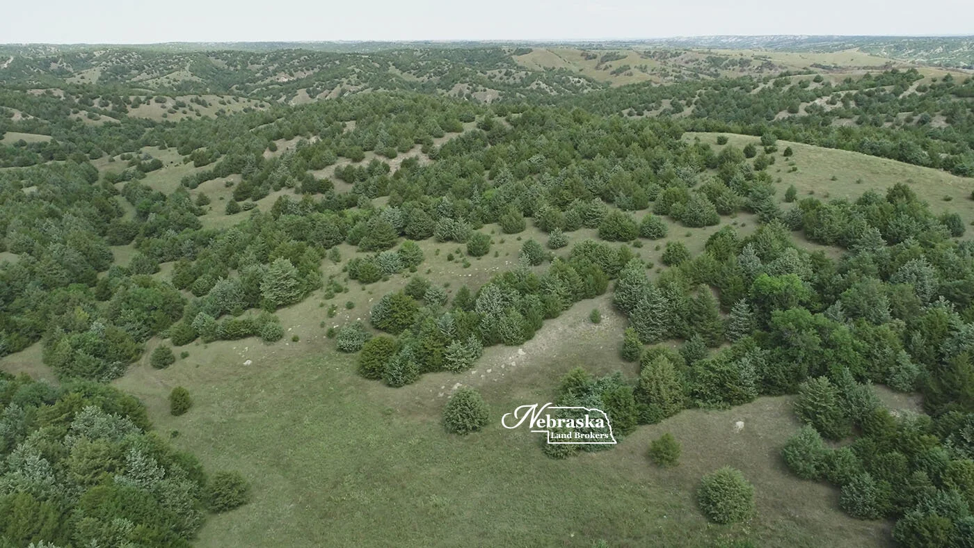 Box Elder Canyon Hunting Ranch SOLD & CLOSED 11.23.21 — Nebraska
