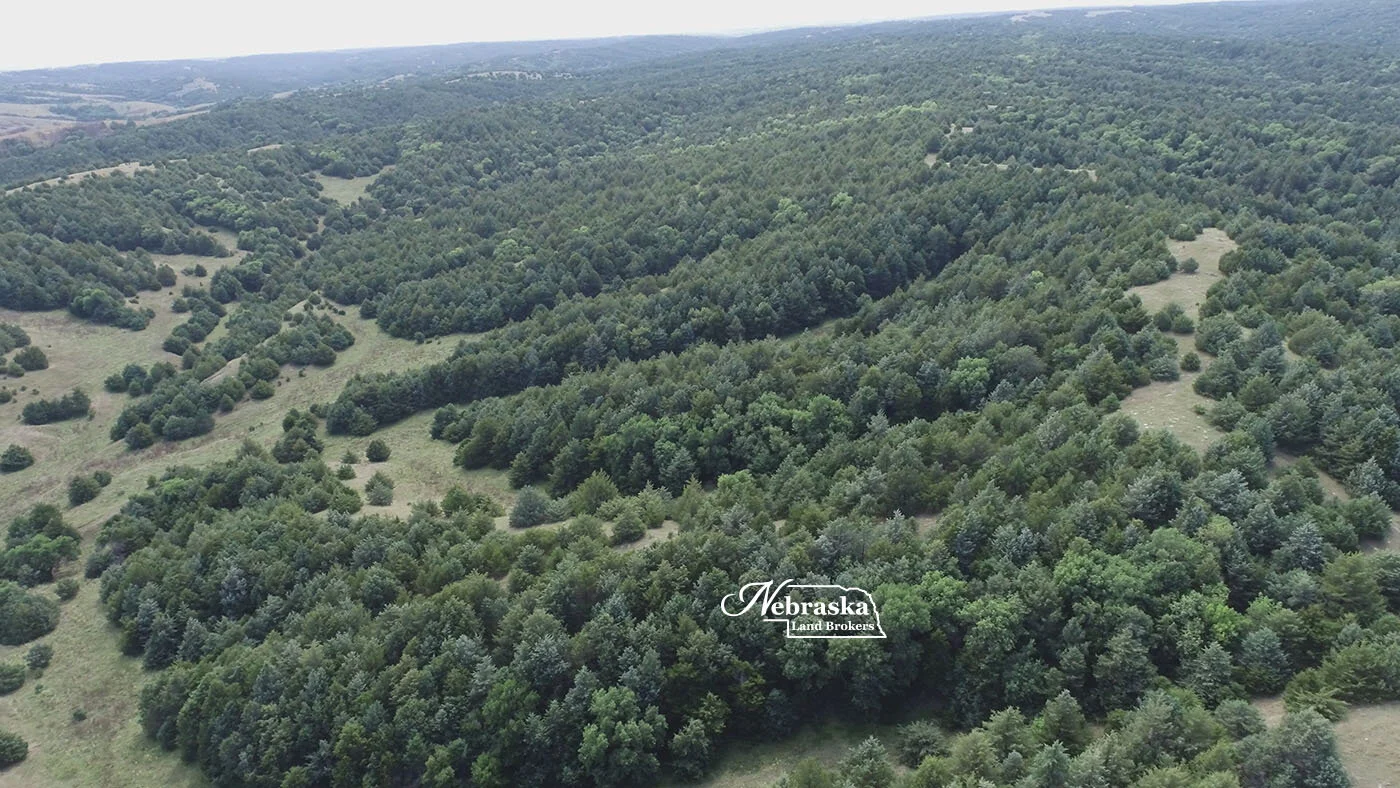 Box Elder Canyon Hunting Ranch -- SOLD & CLOSED 11.23.21 — Nebraska ...