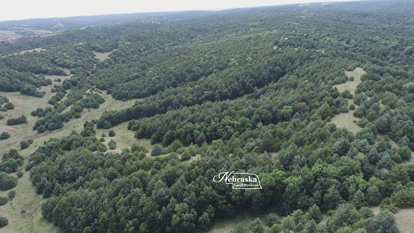 Box Elder Canyon Hunting Ranch SOLD & CLOSED 11.23.21 — Nebraska