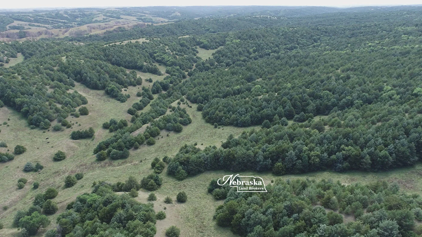 Box Elder Canyon Hunting Ranch SOLD & CLOSED 11.23.21 — Nebraska