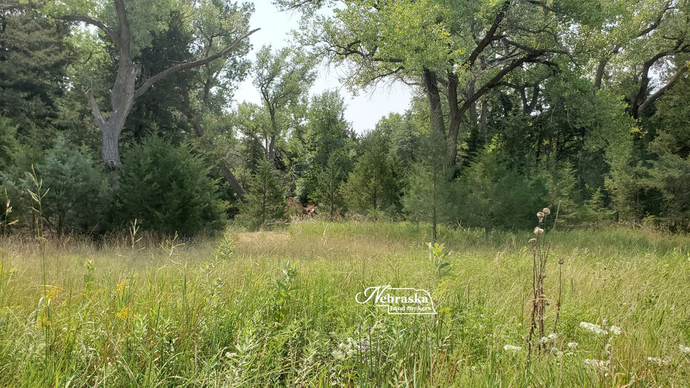 FT MCPHERSON PLATTE RIVER HUNT, Lincoln County SOLD & CLOSED 11.22.