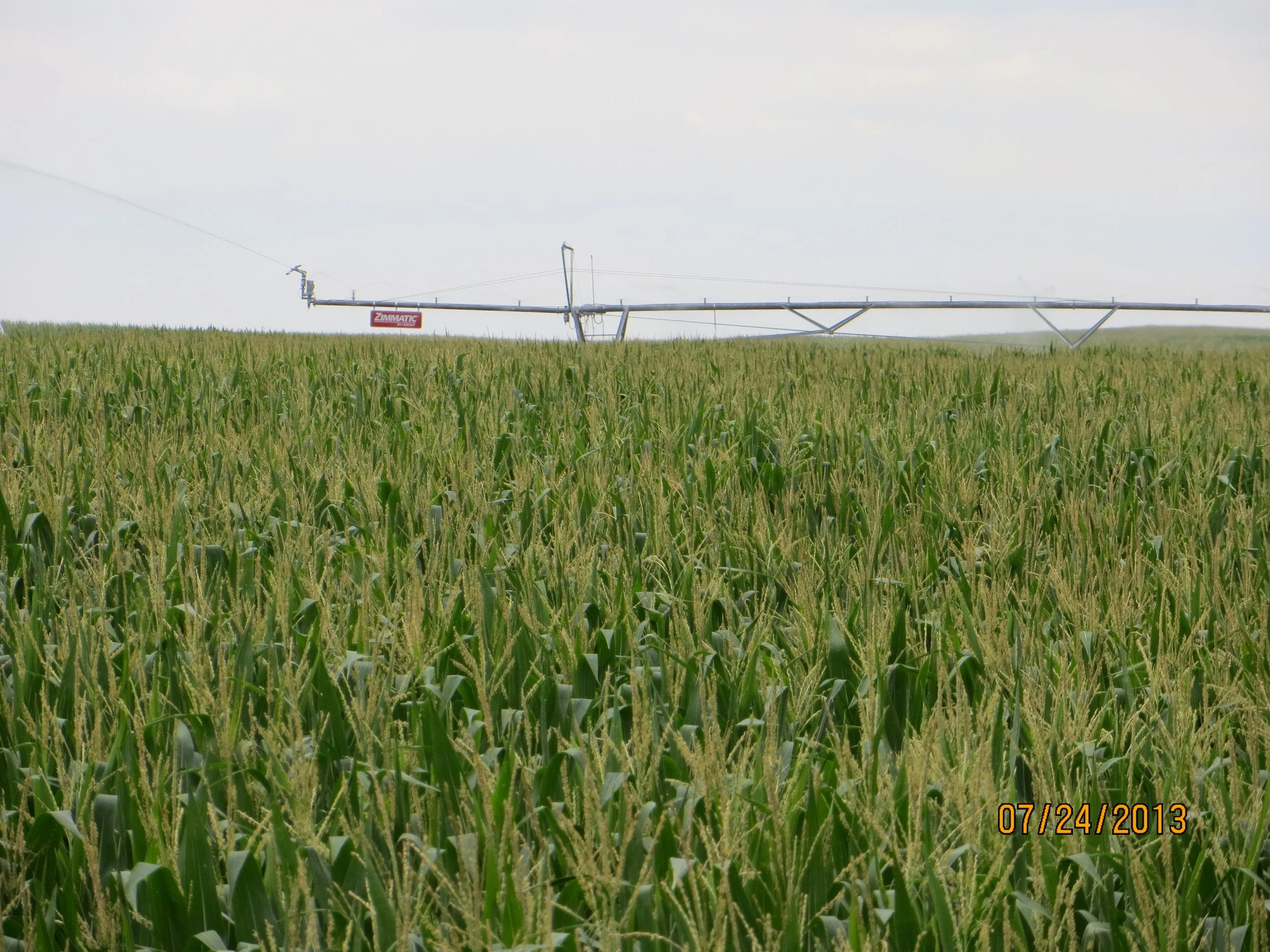 Twin Platte NRD Certified Irrigated Acres SOLD &amp; CLOSED 3.15.22