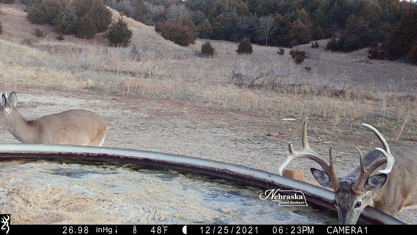 SCRR game cam 4.jpg