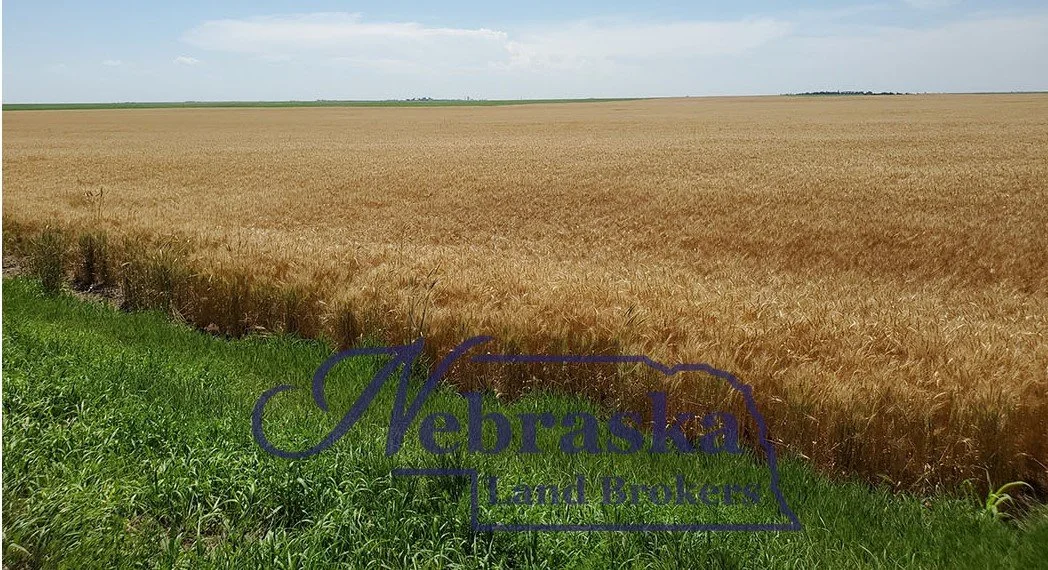 Brandon Non-Irrigated Farm - South Parcel Absolute Auction - SOLD &amp; CLOSED 12.28.22