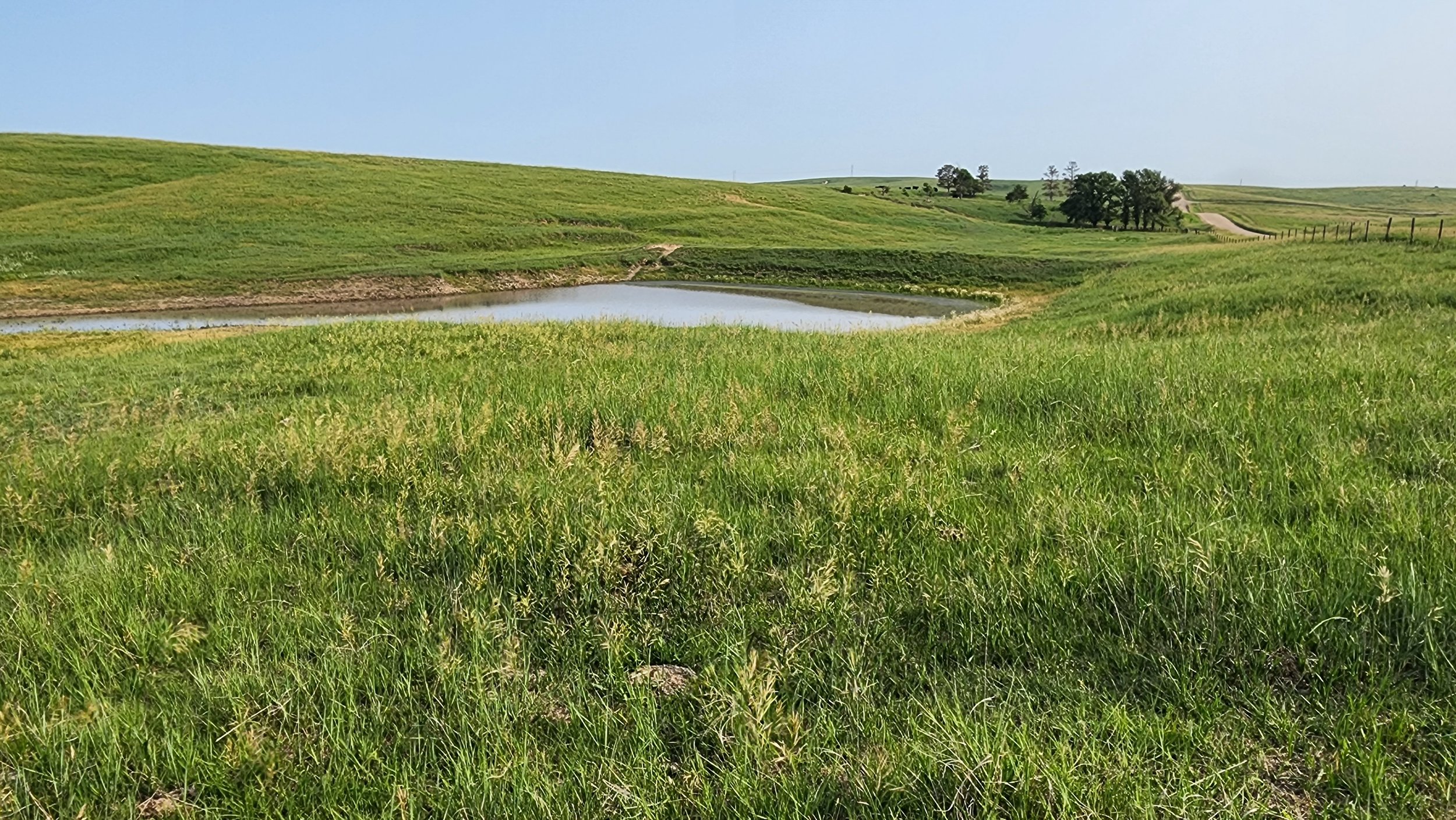 Properties — Nebraska Land Brokers