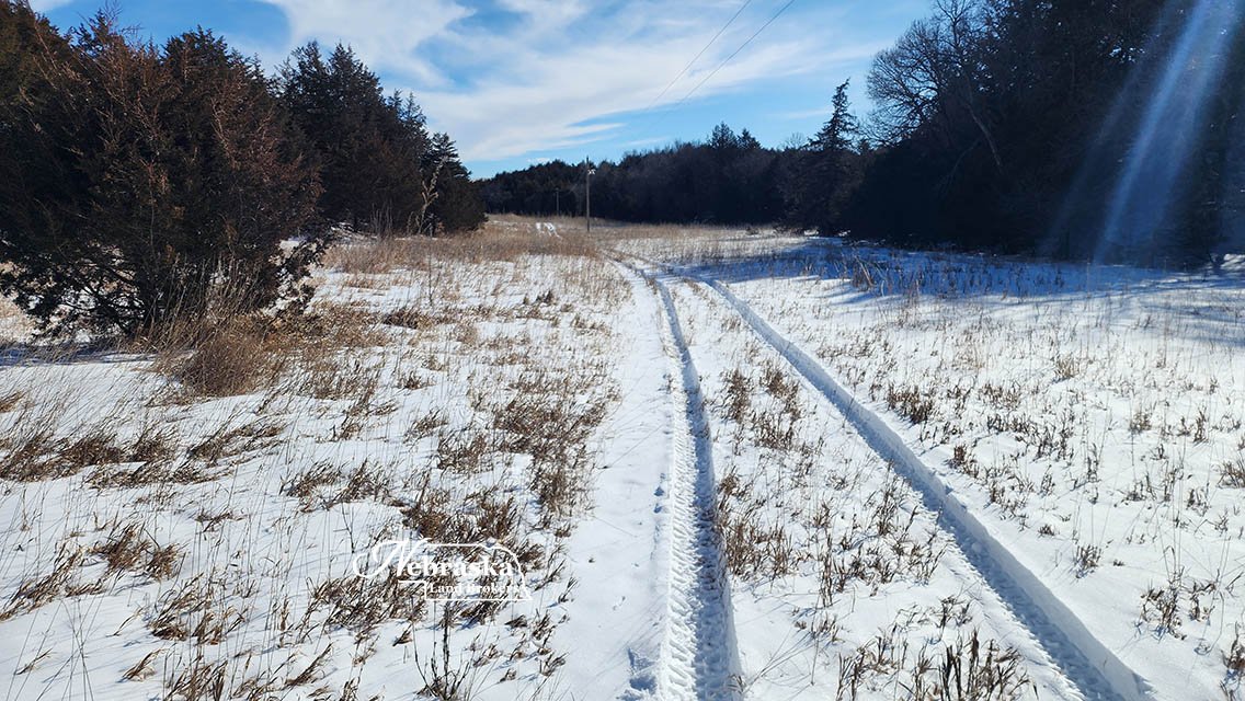 Jeffrey Road Pasture (10).jpg