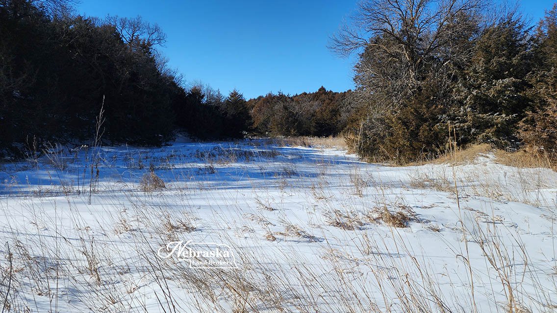 Jeffrey Road Pasture (20).jpg