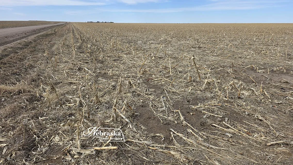 Northern Perkins County Non-Irrigated Farm -- SOLD & CLOSED 02.28.2025