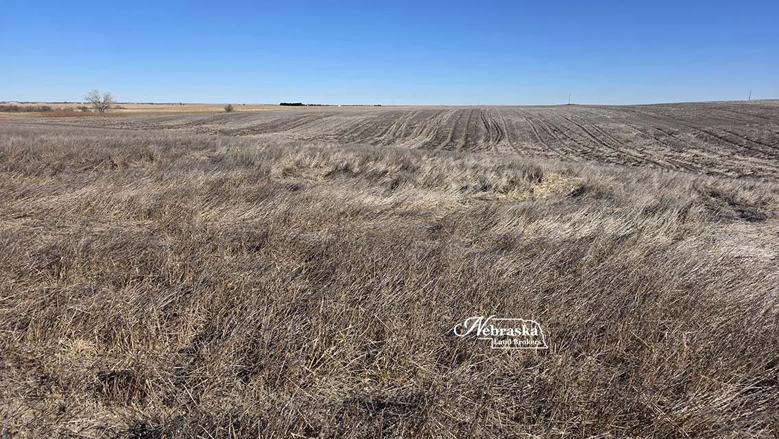 Wallace Irrigated Farm 2026.01 (1).jpg