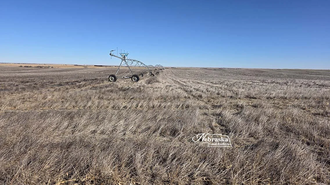 Wallace Irrigated Farm 2026.01 (6).jpg