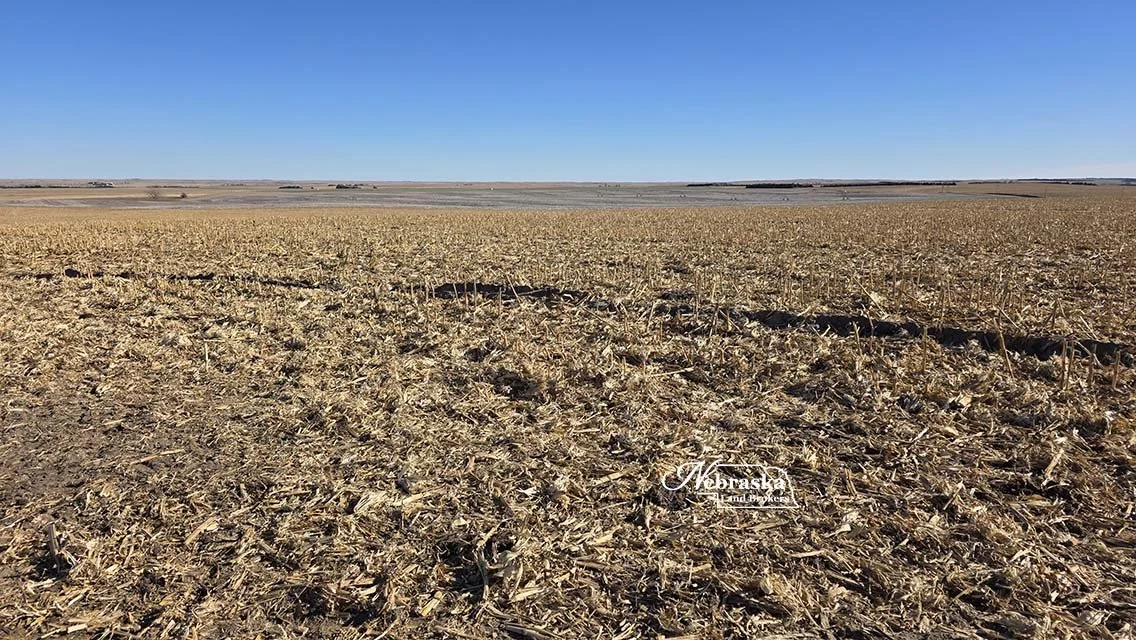 Wallace Irrigated Farm 2026.01 (9).jpg