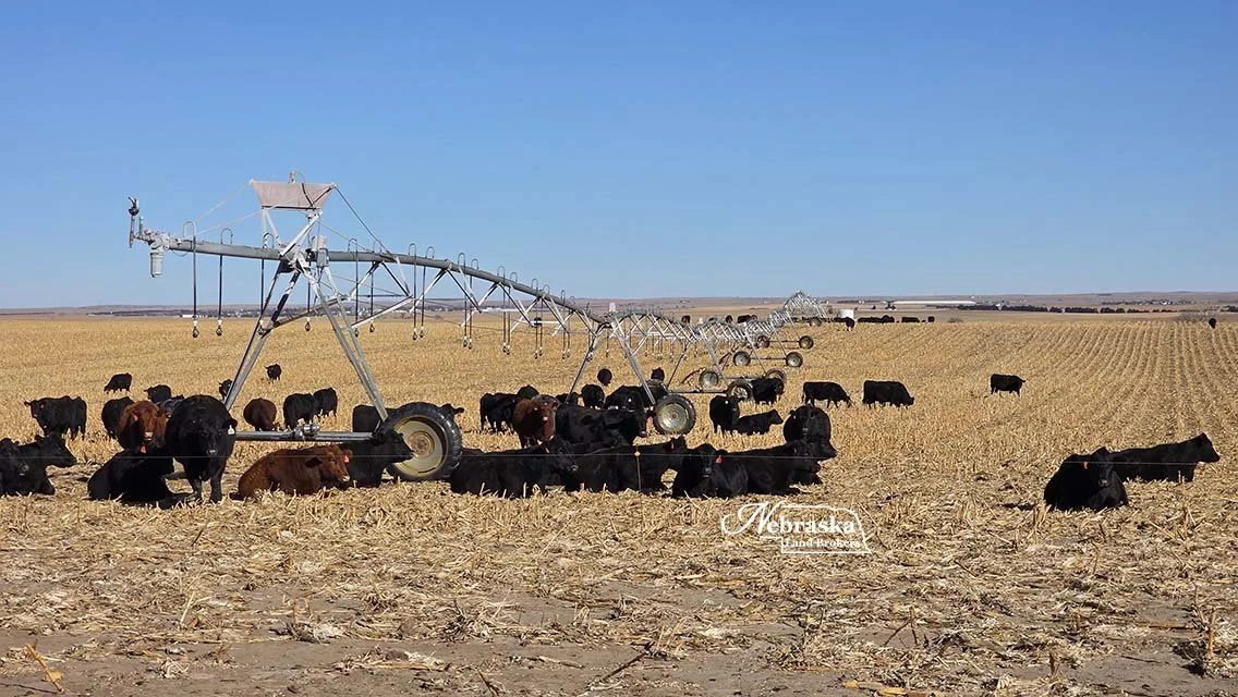 Wallace Irrigated Farm 2026.01 (10).jpg
