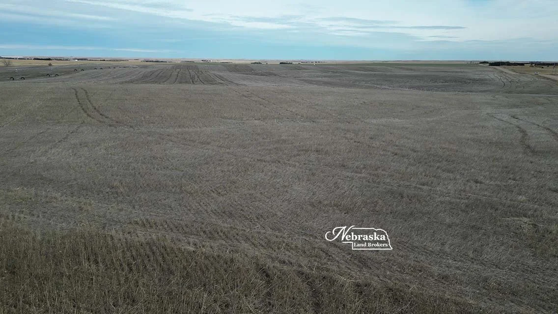 Wallace Irrigated Farm 2026.01 (25).jpg