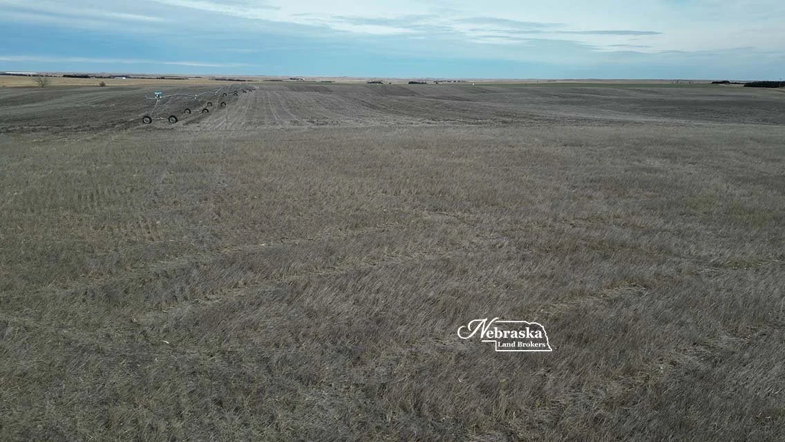 Wallace Irrigated Farm 2026.01 (26).jpg