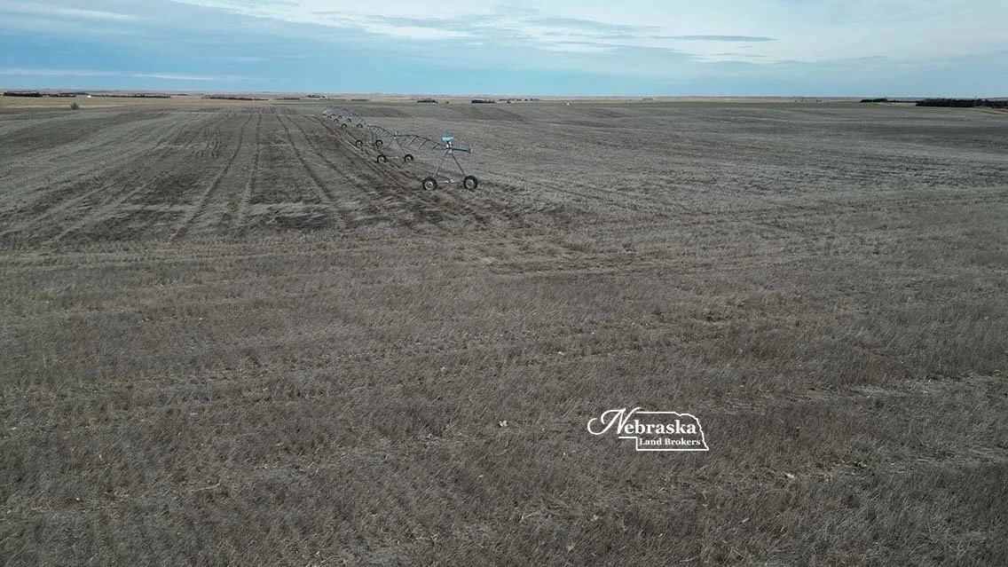 Wallace Irrigated Farm 2026.01 (27).jpg