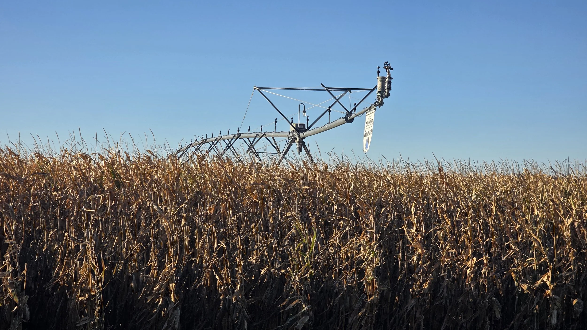 Stolley Park Road 80 - UNDER CONTRACT!