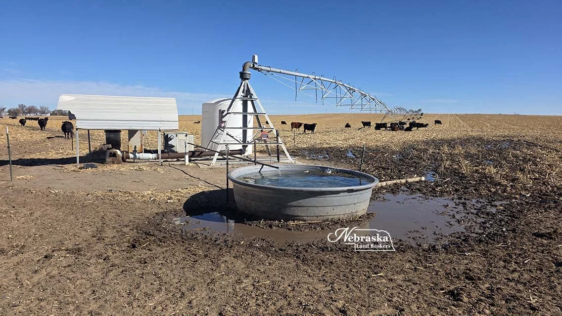 South Wallace Pivot Irrigated Quarter - SOLD &amp; CLOSED 2026.04.21