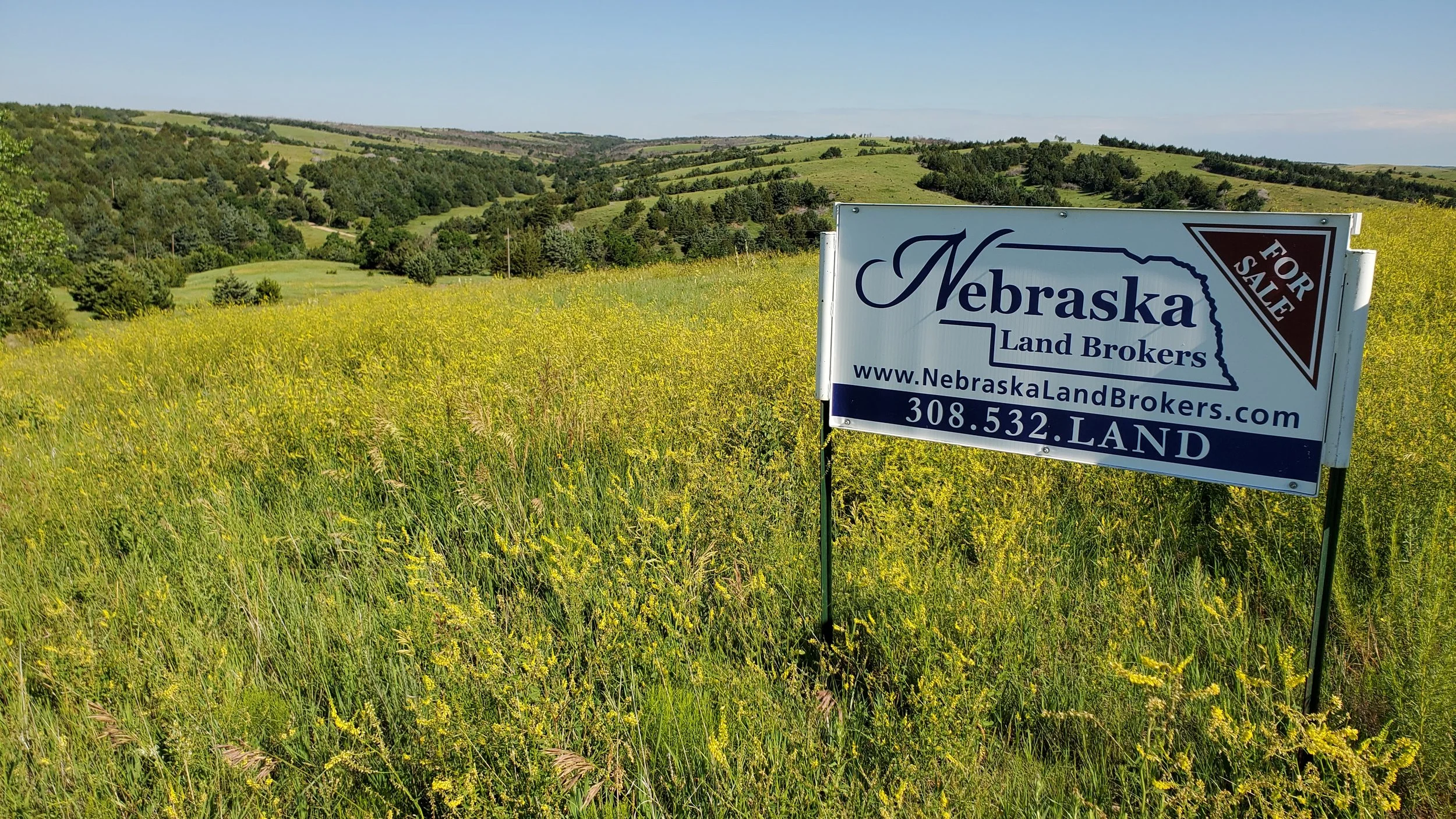 Thinking About Buying or Selling Land?