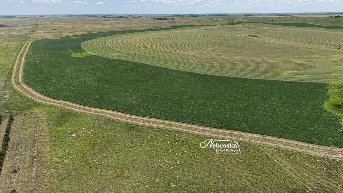 AB Kramer LLC farms 2026.07 (2) - frame at 2m19s.jpg