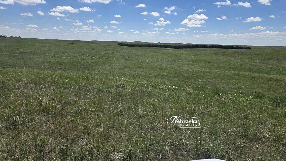 20260713_133732.jpg