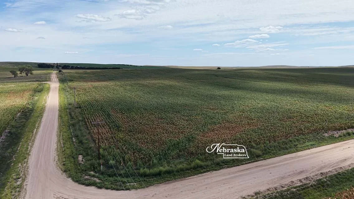 Cecava Farms Parcel 1 (7).jpg