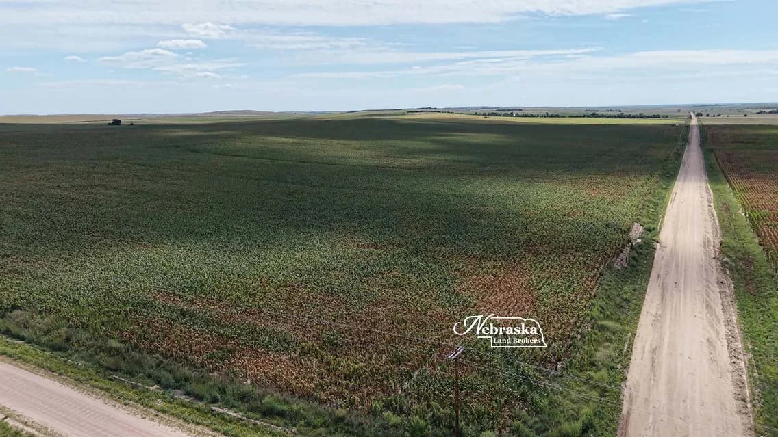 Cecava Farms Parcel 1 (8).jpg