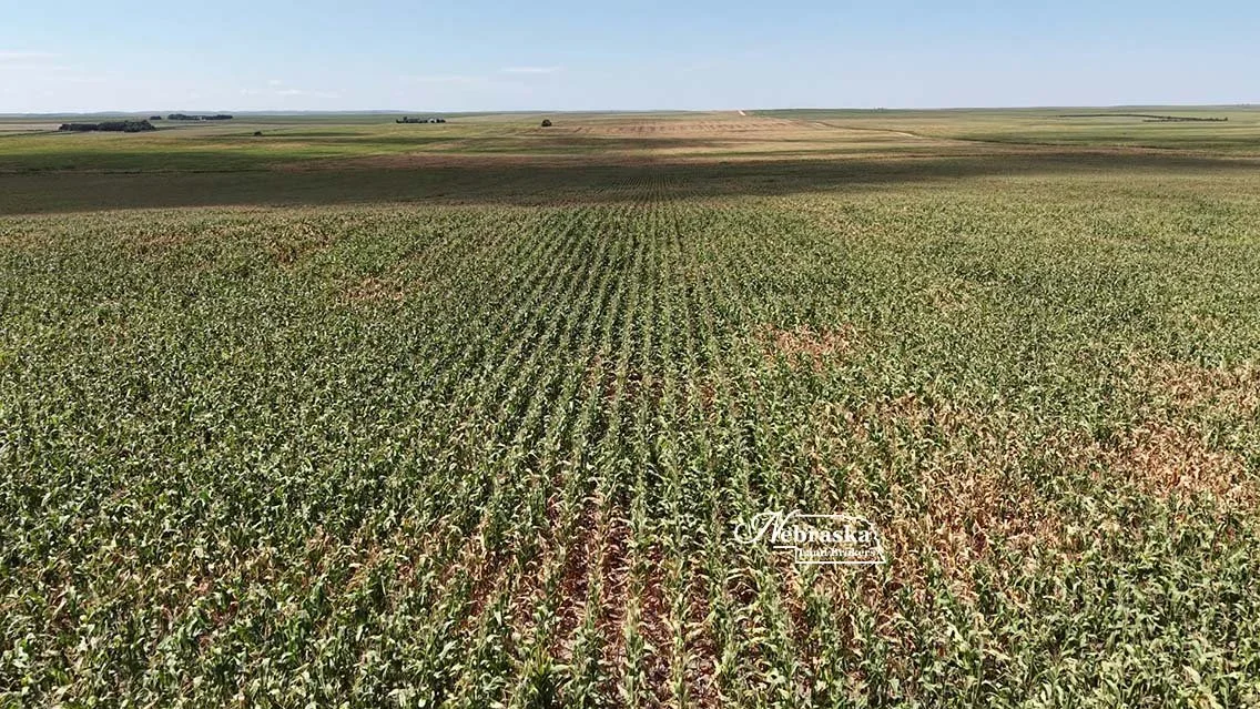 Cecava Farms Parcel 1 (10).jpg
