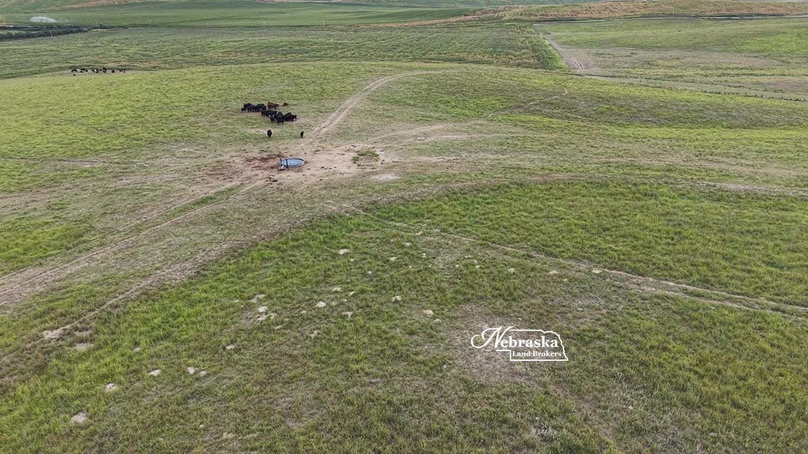 Cecava Farms Auction Parcel 2 (30).jpg