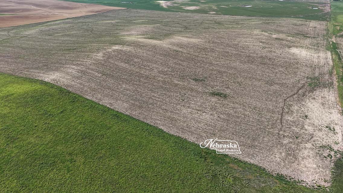 Cecava Farms Auction Parcel 3 (4).jpg