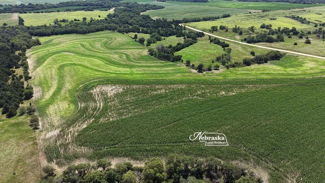 Deweese Hunting Farm Auction, Clay County, NE - LAND AUCTION!!